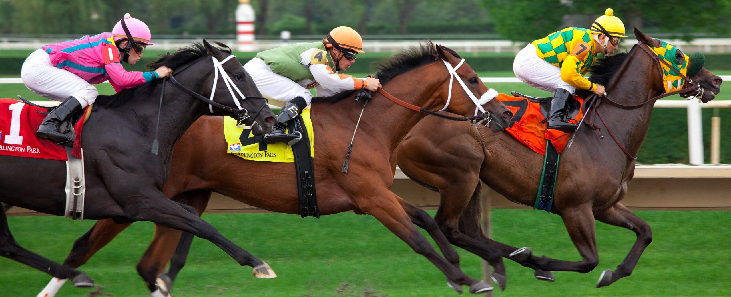 With 50 cents, the bettor wins $525,000 at Gulfstream Park in Southern Florida